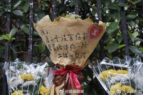 🤬不讲武德！大莫：约基奇背后推我属于偷袭 我根本没有防备
